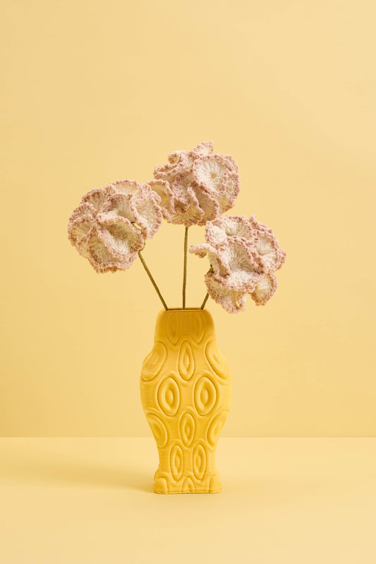White & Pink Carnations