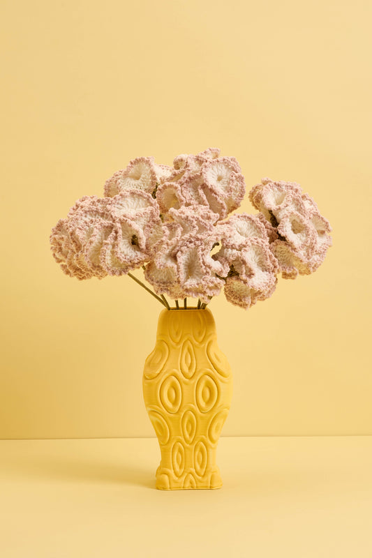 White & Pink Carnations