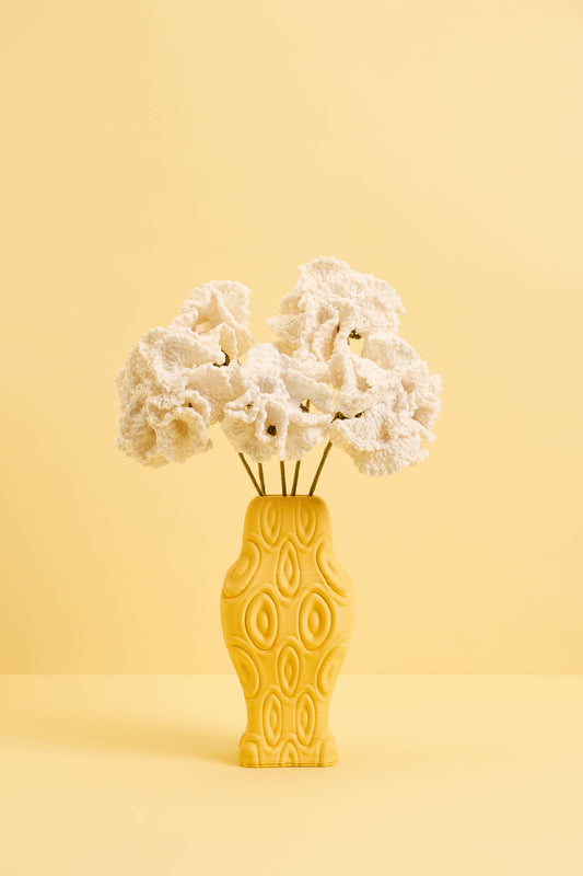 White Carnations