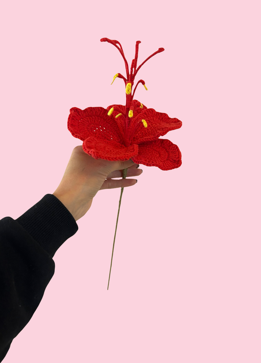 Hibiscus Flower